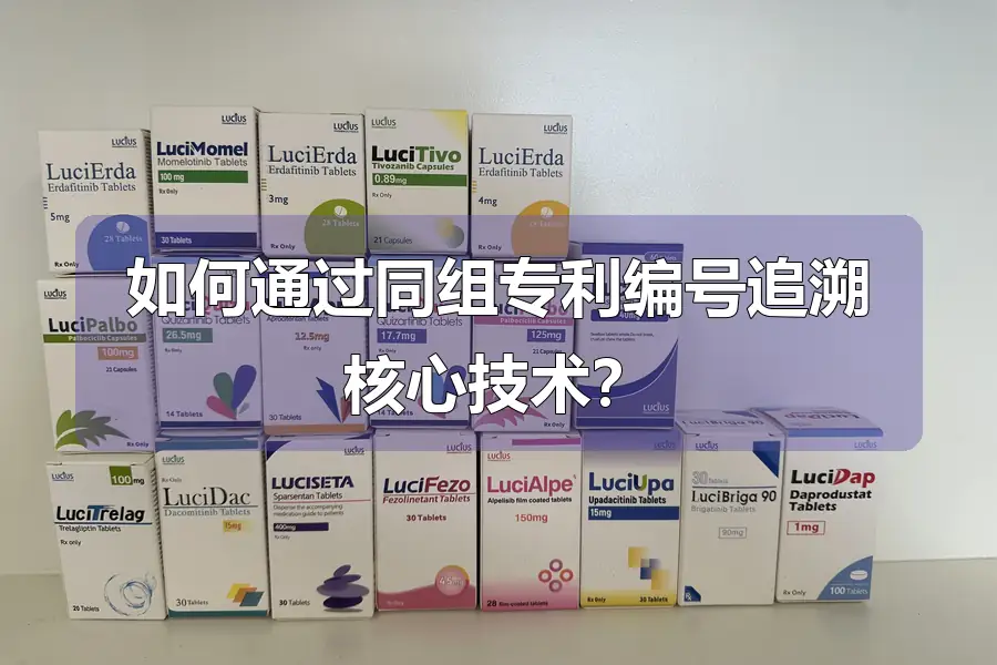 如何通过同组专利编号追溯核心技术？